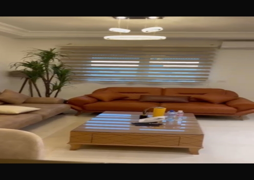 VENTE S2 RICHEMENT MEUBLÉ