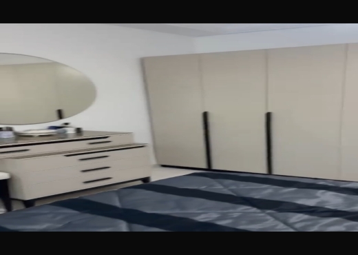 VENTE S2 RICHEMENT MEUBLÉ - image 3