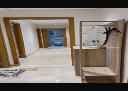 VENTE S2 RICHEMENT MEUBLÉ - image 2